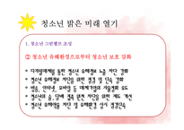 [사회복지] 여가부 `2011년도 업무추진 계획`과 서울시`2011 청소년정책 시행계획` 제도 비교-13