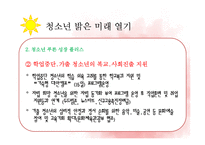 [사회복지] 여가부 `2011년도 업무추진 계획`과 서울시`2011 청소년정책 시행계획` 제도 비교-18