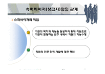 [사회복지] 사회복지사의 전문적 동료관계에서 윤리적 딜레마-16