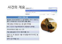 [현대사회와 매스컴] 인터넷과 여론몰이 현상-쥐식빵 사건 사례-2