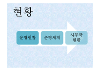 [사회복지] 청소년 육성지도론-국제청소년성취포상제의 장점 및 문제점과 개선방향-8