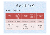 [사회복지] 청소년 육성지도론-국제청소년성취포상제의 장점 및 문제점과 개선방향-9