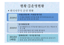 [사회복지] 청소년 육성지도론-국제청소년성취포상제의 장점 및 문제점과 개선방향-10