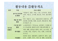 [사회복지] 청소년 육성지도론-국제청소년성취포상제의 장점 및 문제점과 개선방향-20