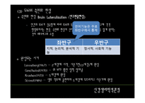 [언어학] 조기외국어교육(이론적 관점에서)-11