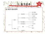 [인문학] 중세국어의 단어의 특징과 품사분류-12
