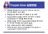 식품안정성 검사-알코올이 간에 끼치는 영향(Ethanol`s Toxicity in vivo& in vitro)-5