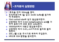 식품안정성 검사-알코올이 간에 끼치는 영향(Ethanol`s Toxicity in vivo& in vitro)-14