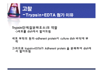 식품안정성 검사-알코올이 간에 끼치는 영향(Ethanol`s Toxicity in vivo& in vitro)-19
