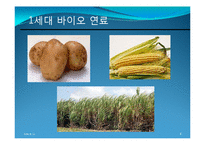 [환경공학] 해양 바이오 연료(해양 미생물, 해조류)-9