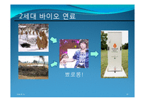 [환경공학] 해양 바이오 연료(해양 미생물, 해조류)-11