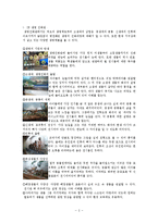 [교육학] 초등과학-서대문 자연사 박물관 견학 보고서-5