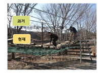 [스포츠 교육학] 야영수련과 체육교육-8