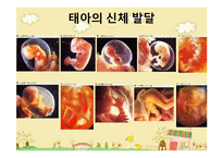 [아동발달] 신체발달과 영향을 주는 요인-3
