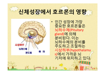 [아동발달] 신체발달과 영향을 주는 요인-10