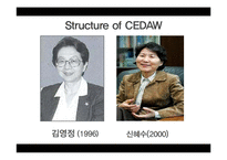 UN 여성차별철폐협약(UN CEDAW) 장단점(영문)-5