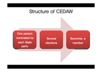 UN 여성차별철폐협약(UN CEDAW) 장단점(영문)-6