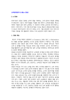[고객관계관리시스템] 고객관계관리 시스템(e-CRM)의 개념, 활용 동향, 도입 및 관리단계-2