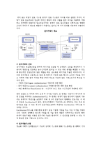 전자상거래 시스템 구성(전자상거래 하드웨어시스템, 인터넷 프로그래밍, 운영환경)-6