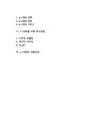 [e-CRM(고객관계관리)] e-CRM의 개념(정의), 종류, 배경, 영역, 성공요인-2