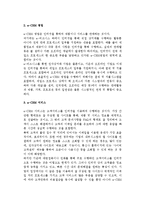 [e-CRM(고객관계관리)] e-CRM의 개념(정의), 종류, 배경, 영역, 성공요인-10