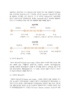 국제복합일관운송의 주요 형태(Sea & Air와 해륙복합일관운송)-6