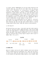 국제복합일관운송의 주요 형태(Sea & Air와 해륙복합일관운송)-7