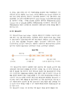 국제복합일관운송의 주요 형태(Sea & Air와 해륙복합일관운송)-8