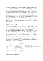 국제복합일관운송의 주요 형태(Sea & Air와 해륙복합일관운송)-9