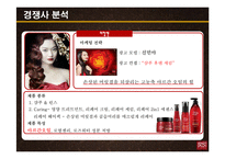 애경 케라시스 마케팅 분석(기업소개, 환경분석, STP전략, SWOT분석, 포지셔닝 맵, IMC전략)-15