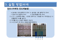 암모니아(인도페놀법 중화적정법)Power Point-8