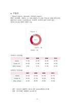 [마케팅] 아시아나 항공의 마케팅 보완전략-7