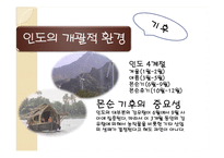 [해외투자론] 인도의 개괄적, 경제적 환경 조사-11