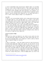 [소비자행동론] 아웃도어 브랜드 NORTH FACE 노스페이스 마케팅 전략-4