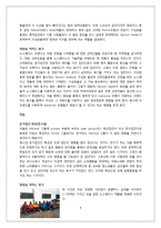 [소비자행동론] 아웃도어 브랜드 NORTH FACE 노스페이스 마케팅 전략-8