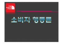 [소비자행동론] 아웃도어 브랜드 NORTH FACE 노스페이스 마케팅 전략-1