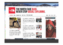 [소비자행동론] 아웃도어 브랜드 NORTH FACE 노스페이스 마케팅 전략-9