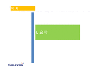 [국제경영] 스크린 골프 `골프존` 미국시장 진출전략-3