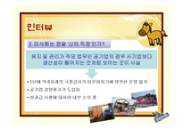 [기업윤리] 한국마사회 CSR활동과 이미지 개선방안에 대한 고찰-17