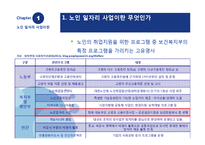 [경제학] 노인 일자리 사업의 실상과 개선방안(인증제 도입과 기대효과)-6