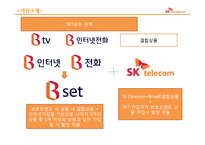 [경영정보] SK Broadband 기업조사와 MIS활용 사례-12