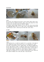 [식생활문화] 몽골 음식 탐방-12
