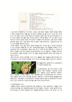 [식생활과 문화] GMO의 장단점과 문제점 및 대책-4