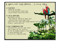 [식생활문화] 말레이시아 음식문화-5