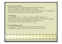 [식생활문화] 말레이시아 음식문화-14