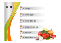 [식생활과 문화] GMO의 장단점과 문제점 및 대책-2
