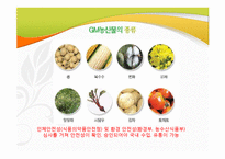 [식생활과 문화] GMO의 장단점과 문제점 및 대책-11