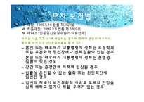 낙태(임신중절)에 대한 반대입장-4