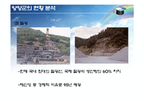 [지역개발론] 폐광지역의 지속가능한 개발 방안-강원도 양양군을 사례로-9