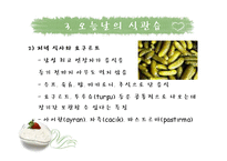 [국제문화] 터키의 음식문화-11